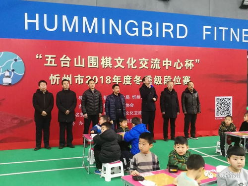 方寸棋盘间 少儿显身手——“五台山围棋文化交流中心杯”2018年度忻州市围棋段级位赛成功举办